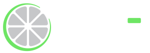 LimeTechSolution